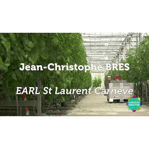 JC BRES CARNEVE